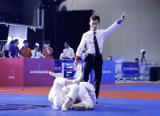 Kaiyun-包含柔道杯赛上演强强对话，辽东犀牛队大胜胶东飞鹰队，战术调整见效；节奏掌控在手的词条