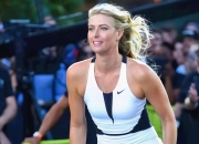 开云-包含莎拉波娃连续三场比赛得分超过爆冷，公牛挑战极限！的词条